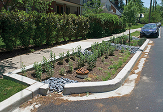 Bioretention bump-outsin parking lanes. Credit: Jeffrey Brainard